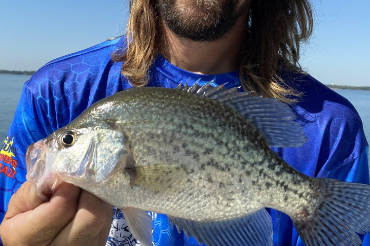 Guide Brandon Sargent with one of many crappie he and Luke landed on a recent trip at Lake Ray Hubbard. hoto by Luke Clayton